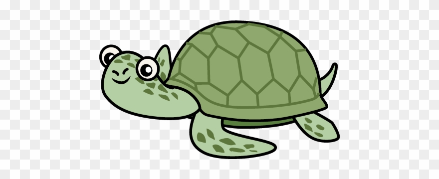 Swimming Clipart Tortoise - Png Download