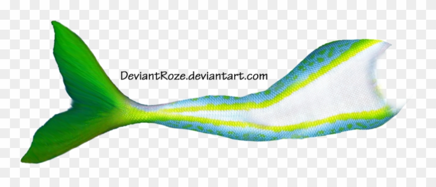 Mermaid Tails Clipart - Png Download