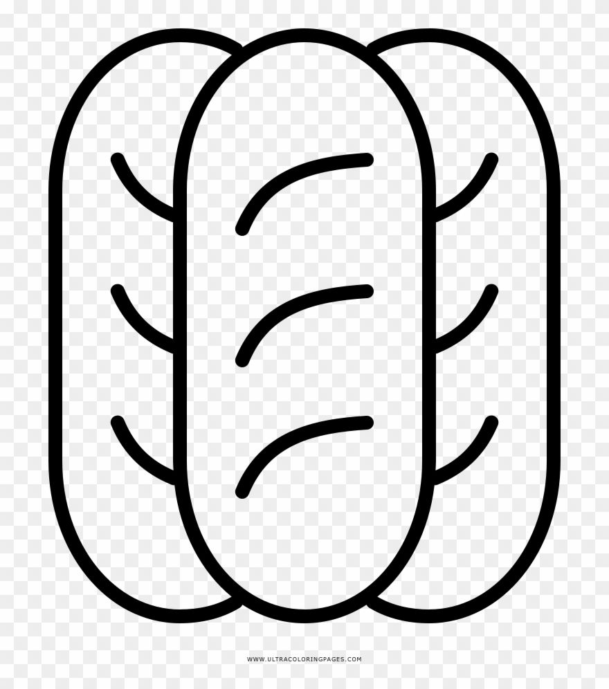 French Bread Coloring Page Clipart