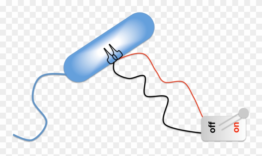 Bacterial Kill Switch Clipart (2234209) PinClipart