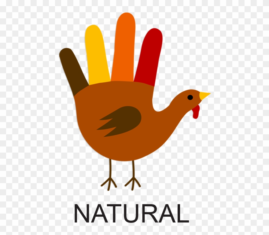 Turkey Buying For The Conscious Consumer Clipart