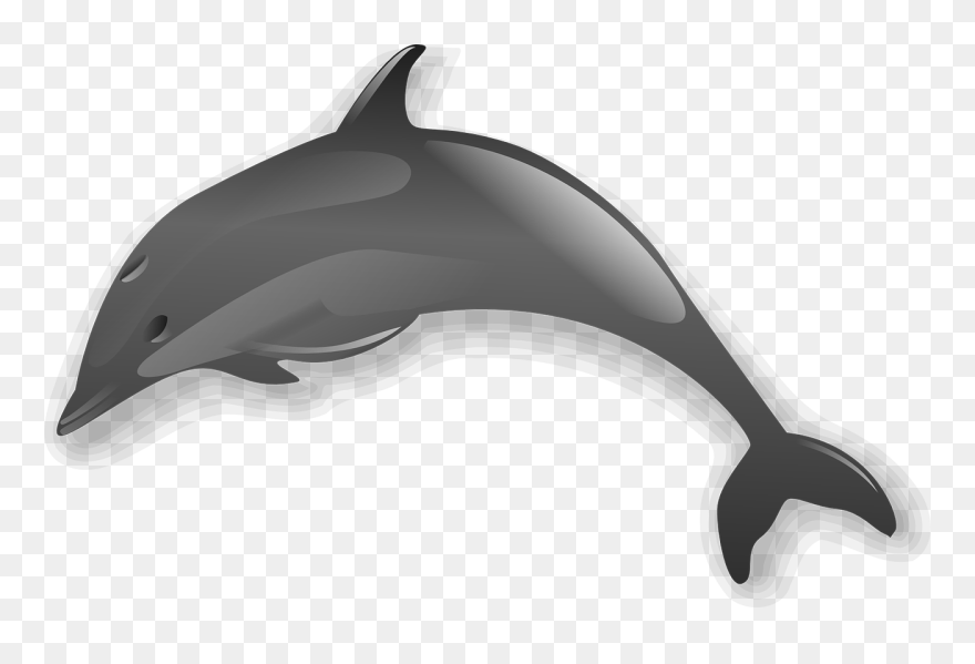 Bottlenose Dolphin Clipart Seahorse - Png Download