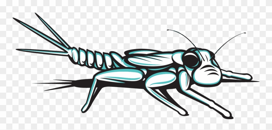 The Waterbug App Works Best In Australia And Is Proudly Clipart