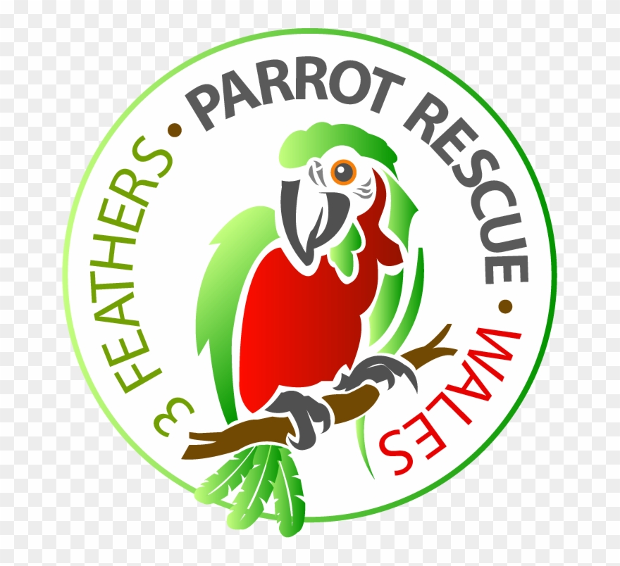 3 Feathers Parrot Rescue Wales Logo Clipart