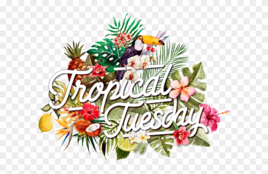 Event Information Clipart