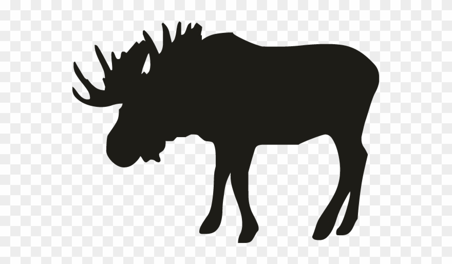Moose Clipart