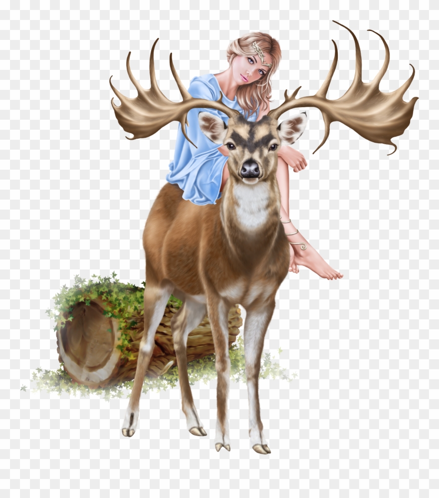 Laguna « Category Clipart