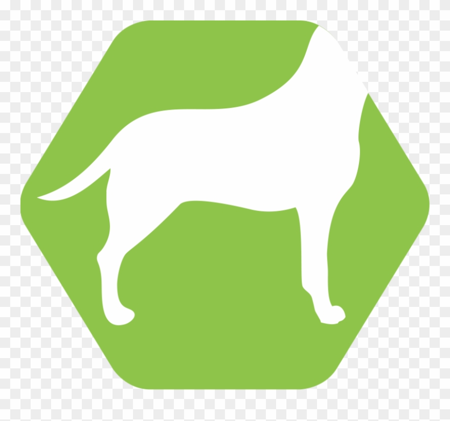 Itchy Red Bumps And Inflammation In Hairless Areas Clipart