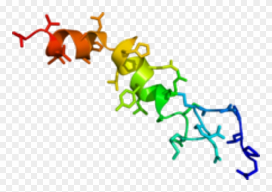 Wikipedia, The Free Encyclopedia Clipart