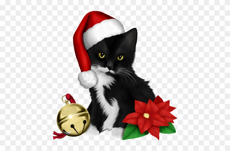 Christmas And New Year, Christmas Cats, Merry Christmas, Clipart