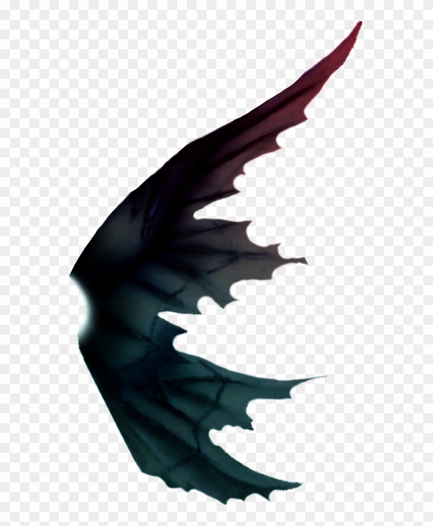 Photo Wing12 Clipart