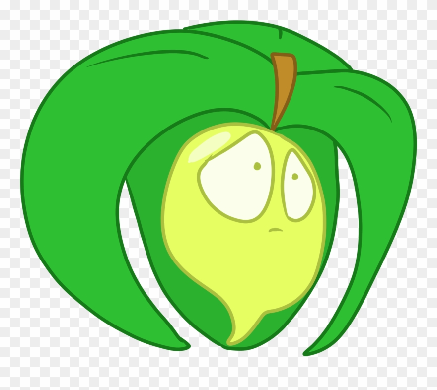 Cape Gooseberry Clipart