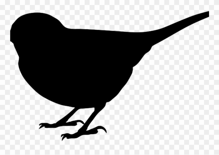 Bird Silhouette Cliparts - Png Download