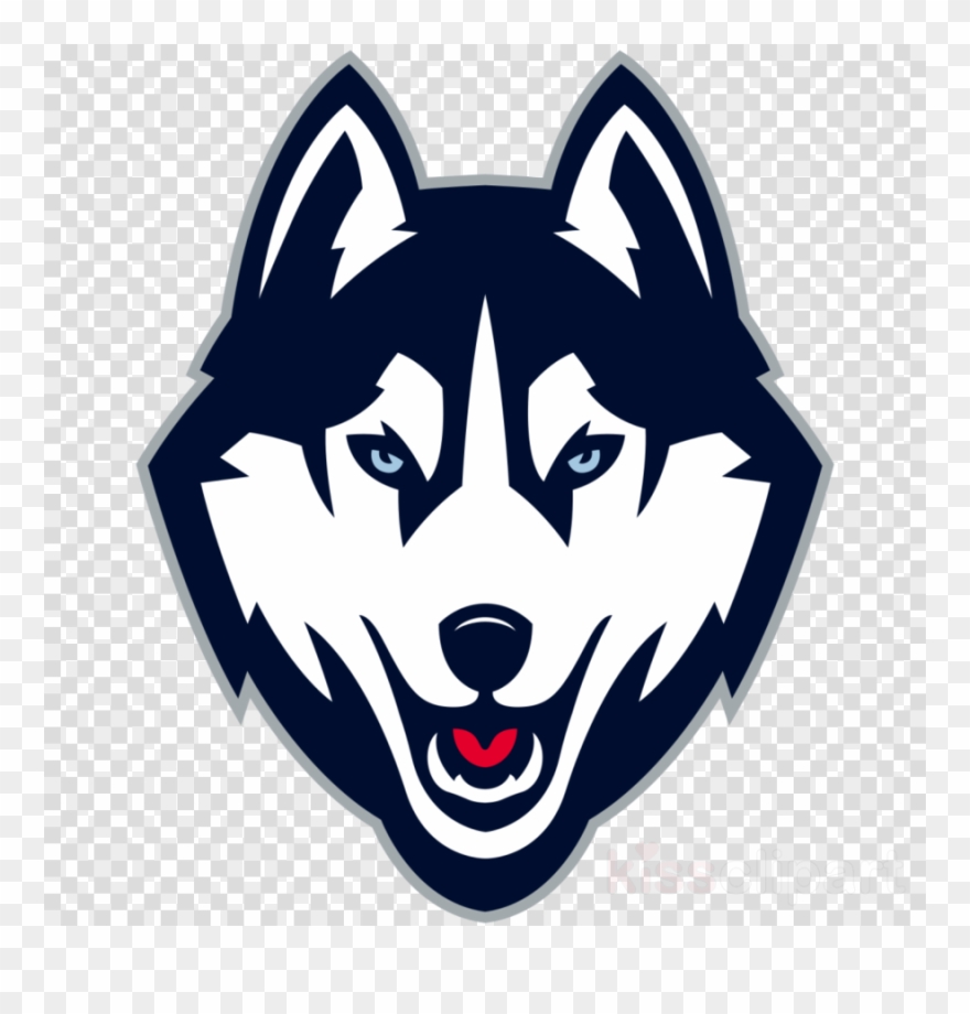 Download Uconn Colors Clipart University Of Connecticut - Png Download