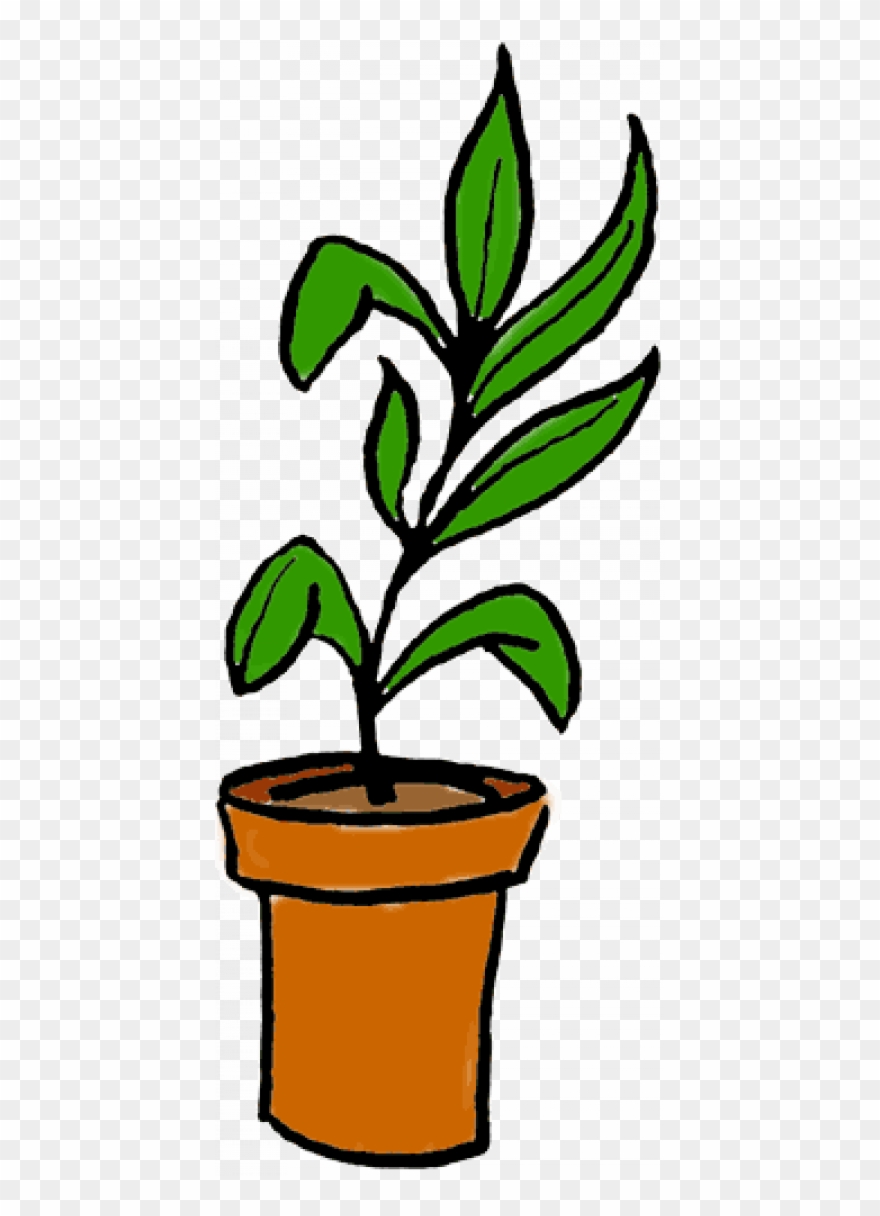 Plants Clipart - Png Download