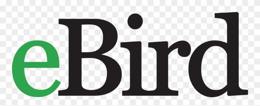 Leave A Reply Cancel Reply Clipart