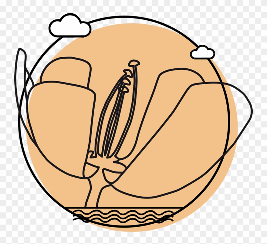 Buenos Aires Clipart