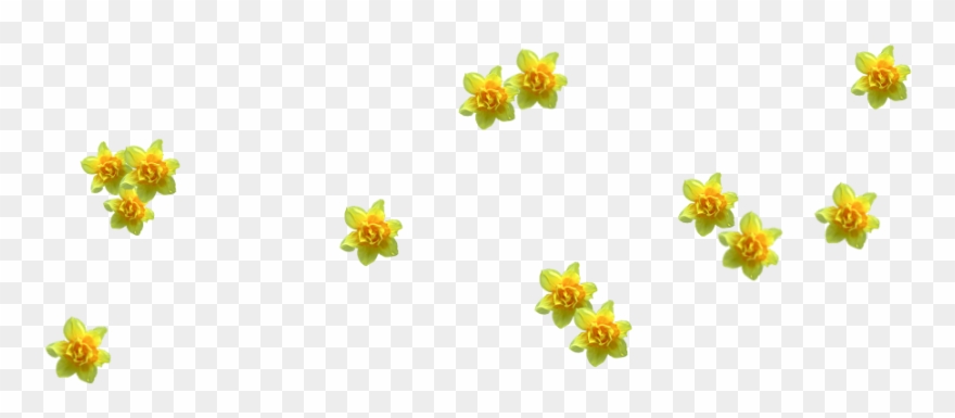 Images Navigation Clipart