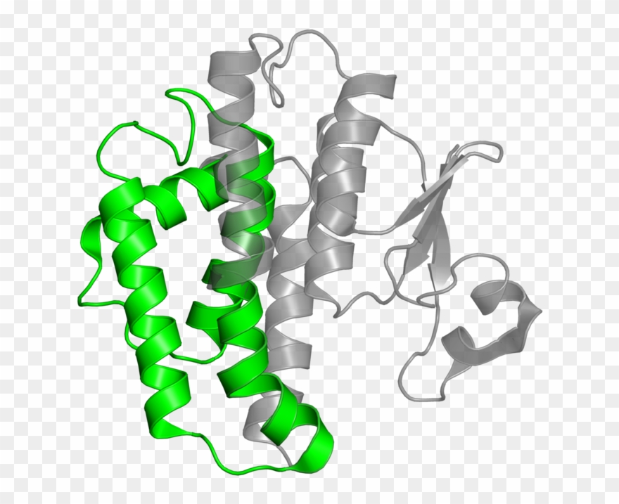 <div Class='caption-body'>1 Copy Of Pfam Domain Clipart