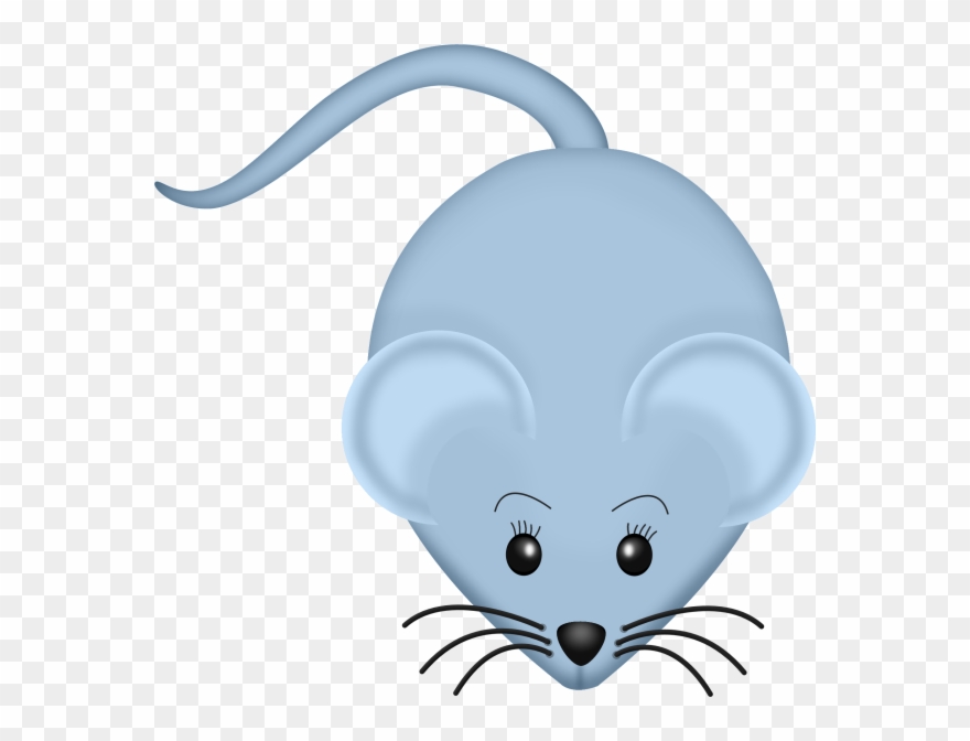 Mouse Animals Images, Zoo Animals, Animal Pictures, Clipart