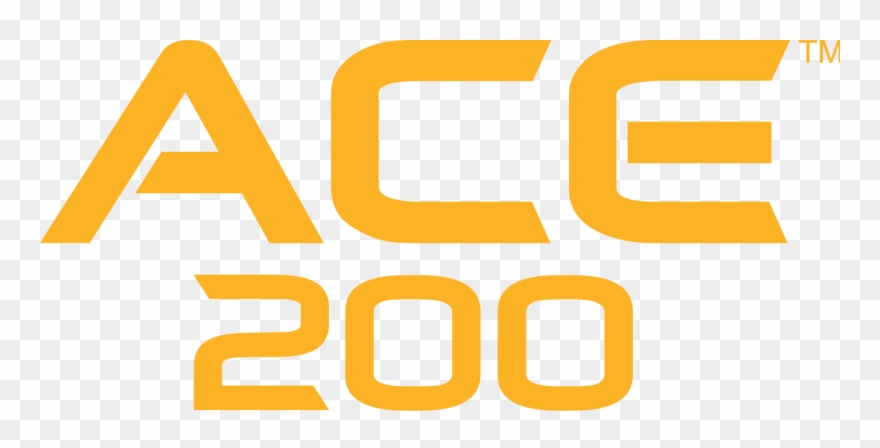 Ace™ 200 Metal Detector Clipart