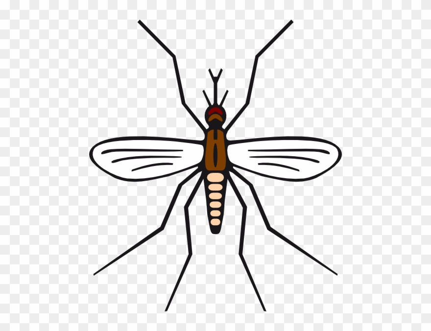Mosquito In Brown Color Clip Art At Clker Com - Png Download