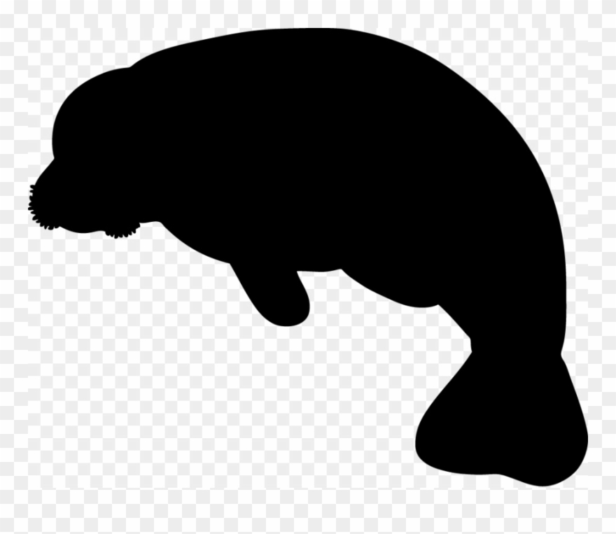 Sea Cows Indian Elephant Manatee Party Baby Manatee Clipart