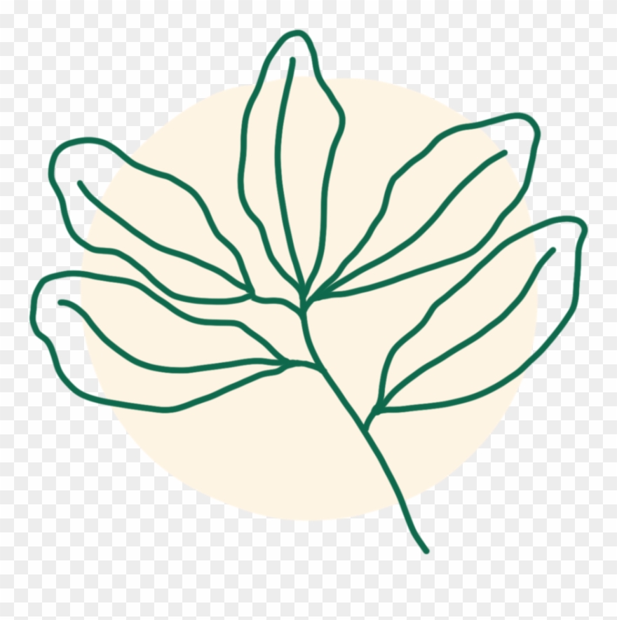 Live Oak Illustration Clipart