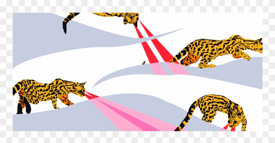 Long Search Big Cats Feline Ocelot Art Design Vector Clipart