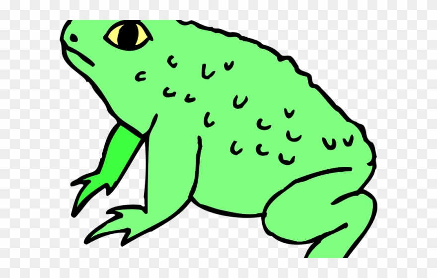 Green Frog Clipart Forg - Png Download