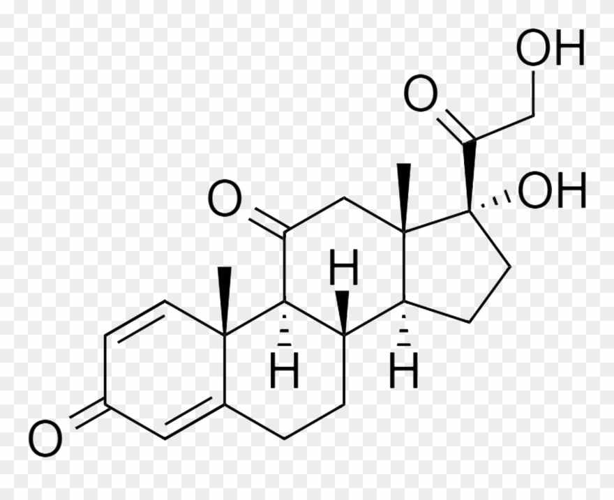 Q I Have Been Taking Prednisone For 15 Yrs For Red Clipart