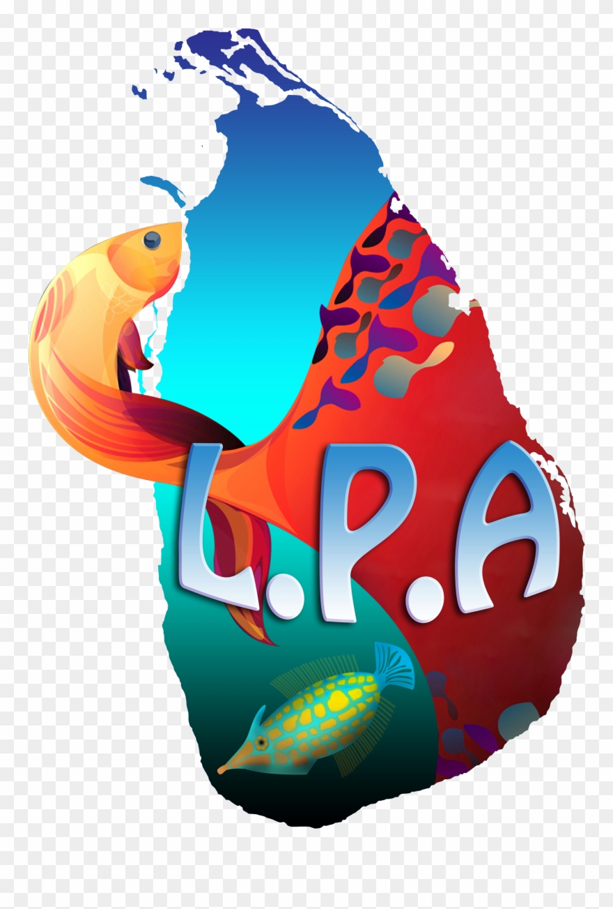 Lanka Pets Aquaticsreputed Exporters Clipart