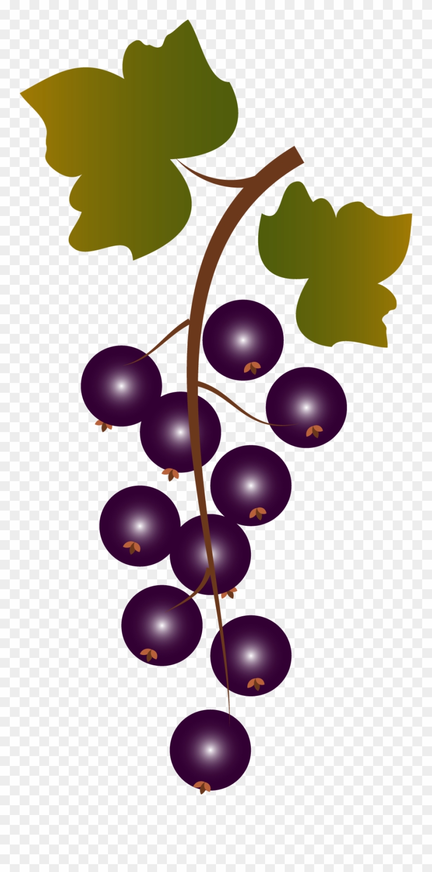 Clip Art Grape Bunch - Png Download