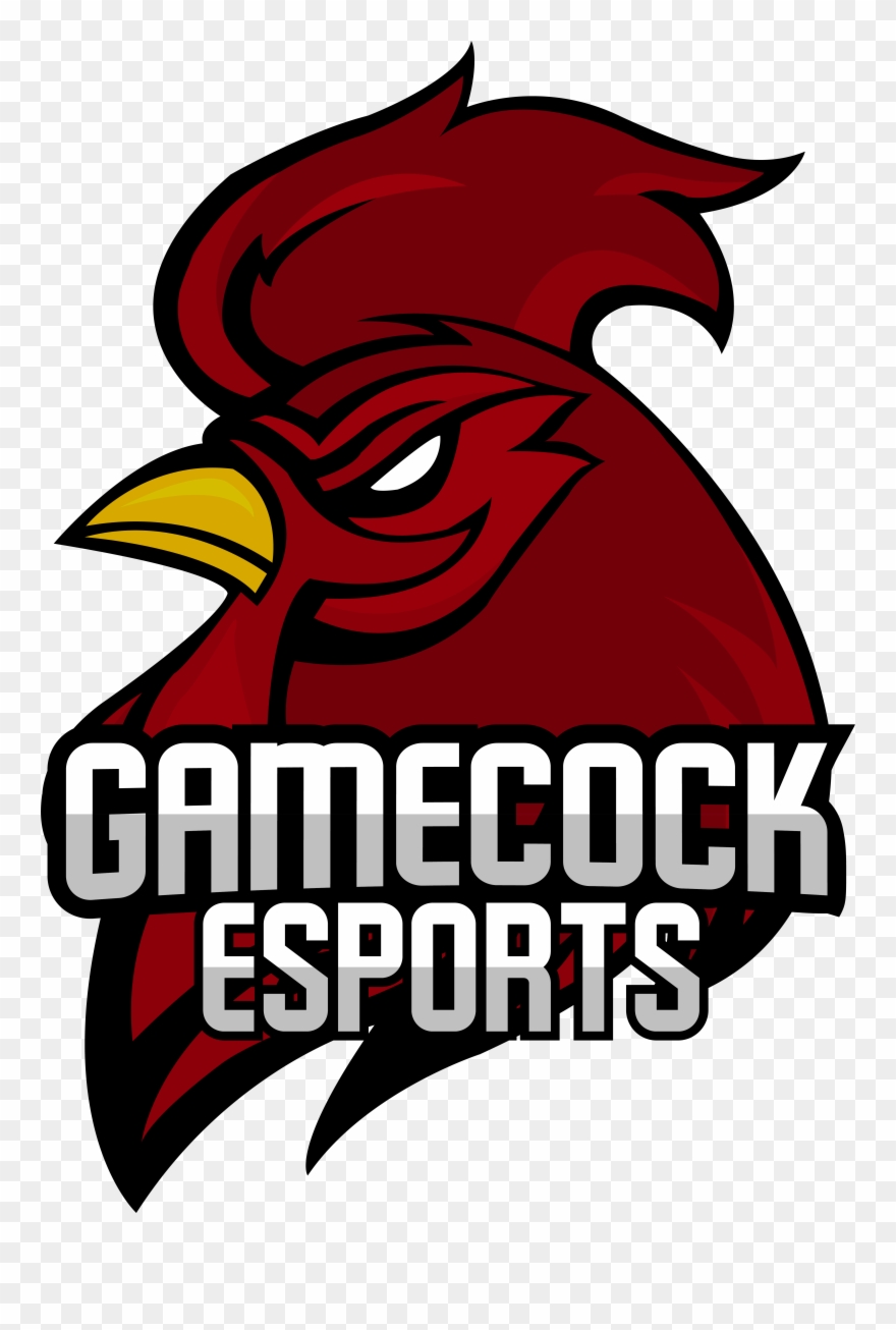 University Of South Carolina Clipart