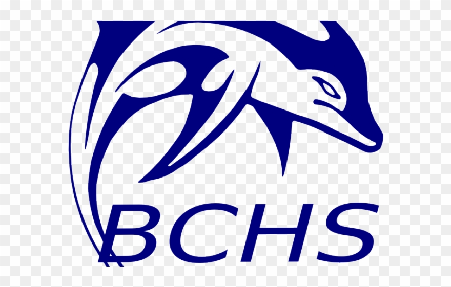 Dolphines Clipart Small Dolphin - Png Download