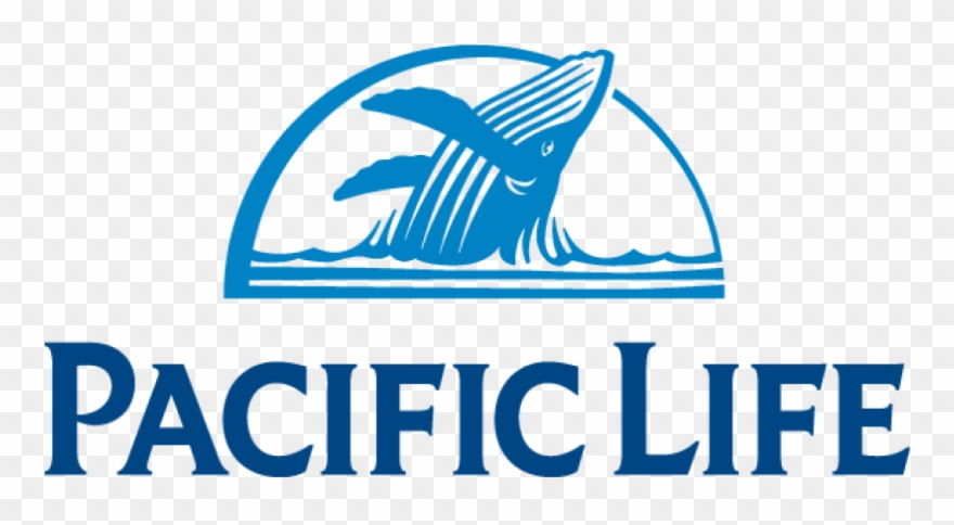 Foundation Donates Us 2 Million To Marine Mammal And Clipart