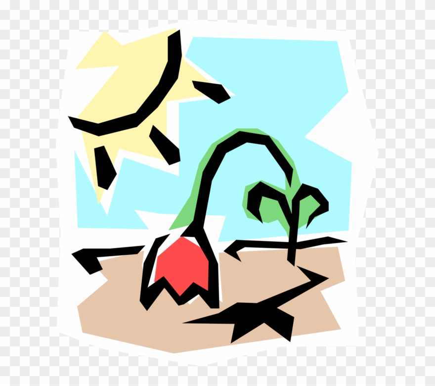 Wilted Flower From Heat Image Illustration Of Clipart