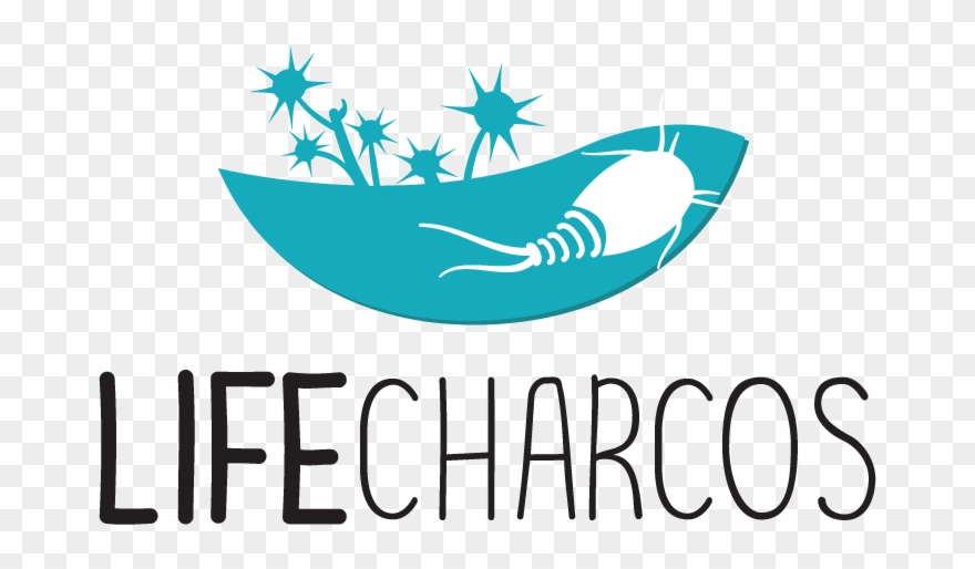 It Officially Started In July Clipart