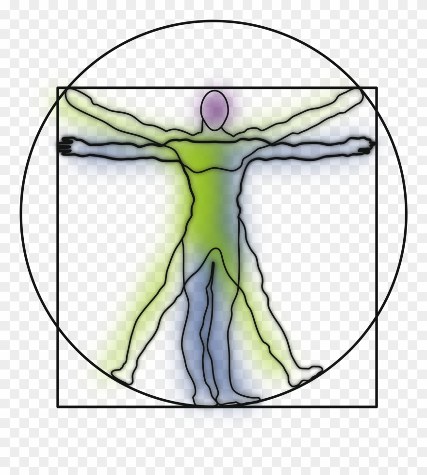 Vitruvian Man And Woman Clipart - Png Download