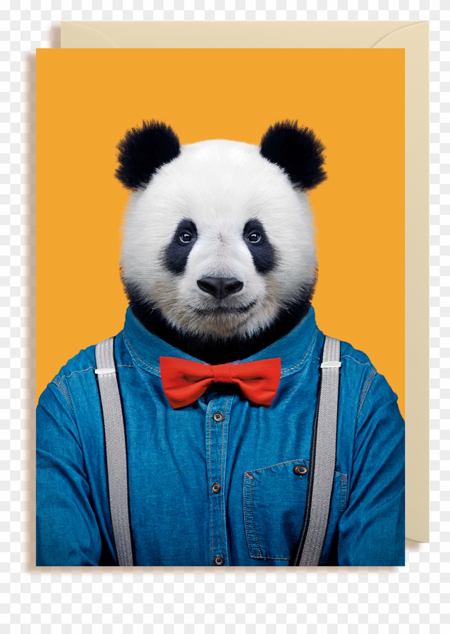 Ailuropoda Melanoleuca Greeting Card Clipart