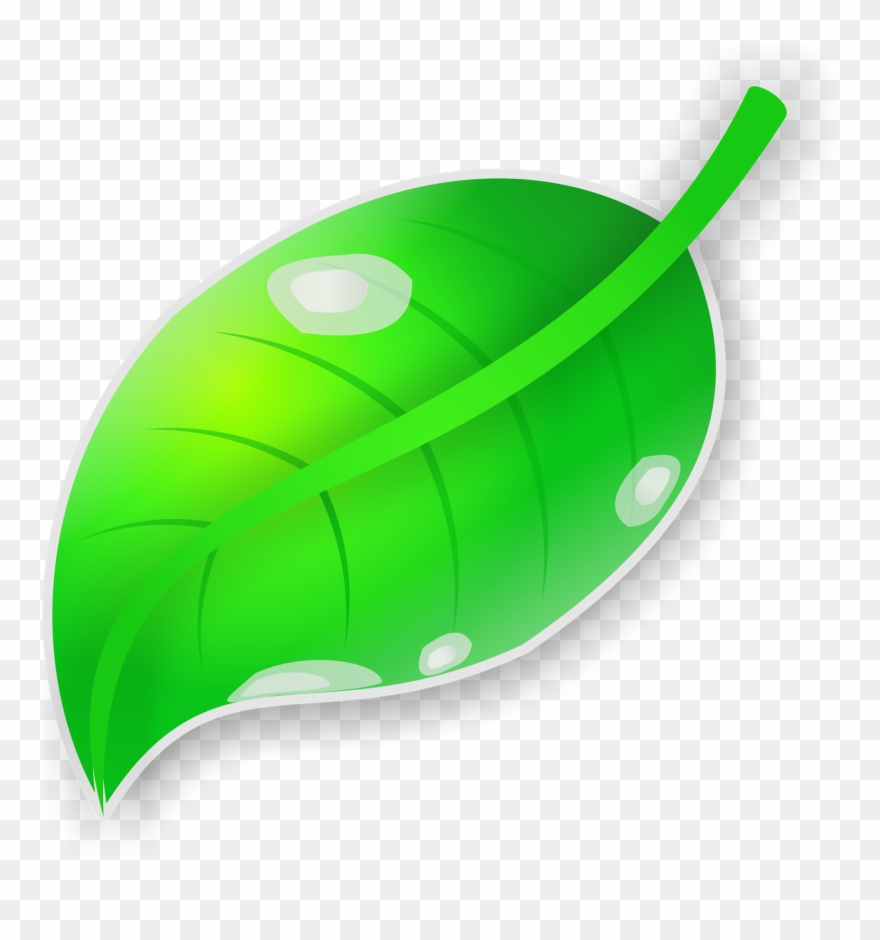 Vektor Daun Dengan Coreldraw X7 Clipart