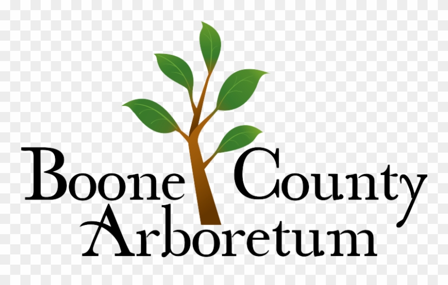 Ssl Certificate Clipart