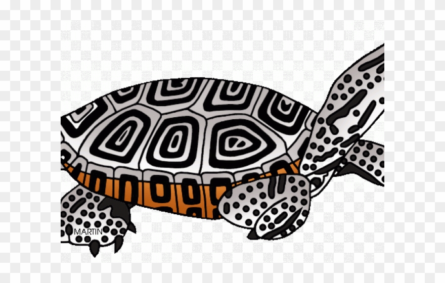 Sea Turtle Clipart Terrapin - Png Download