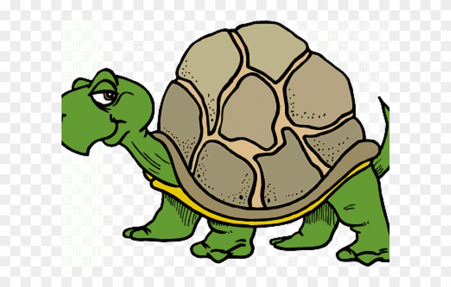Slow Clipart Sick Turtle - Png Download