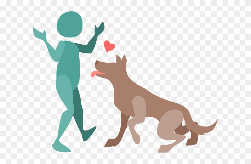 Do You Have A Minimum And A Maximum Age For A Dog To Clipart