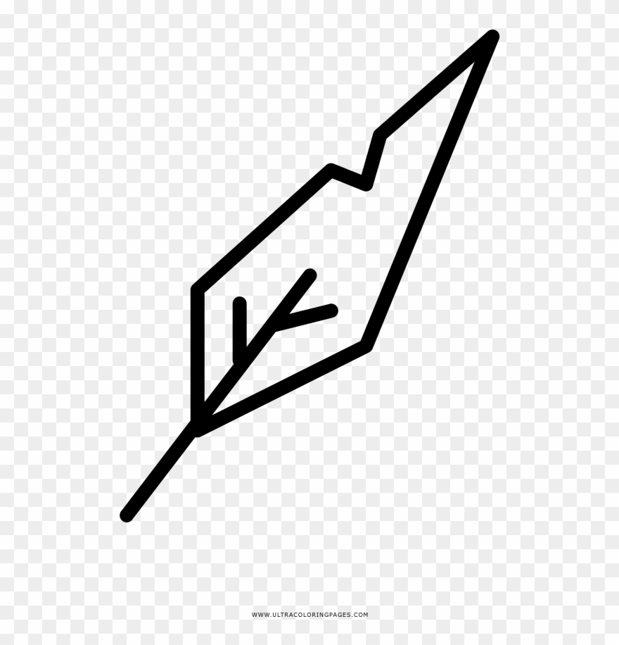 Bird Feather Coloring Page Clipart
