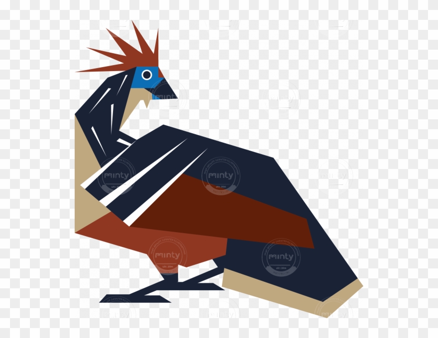 Feather Bird Hoatzin Clipart
