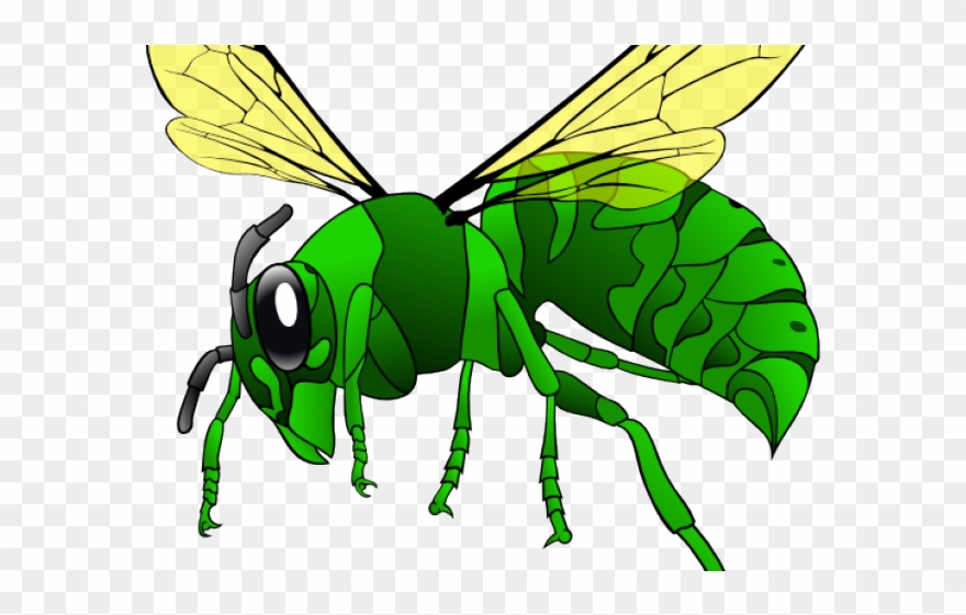 Hornet Clipart Sad - Png Download