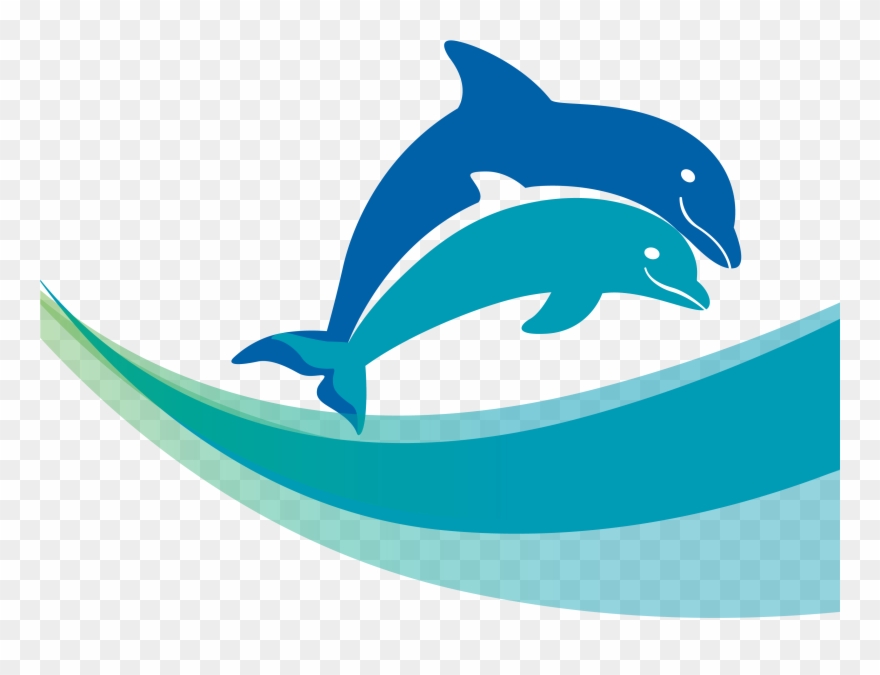 Dolfun Swim Academy Awarded Best Promotion At Usssa Clipart