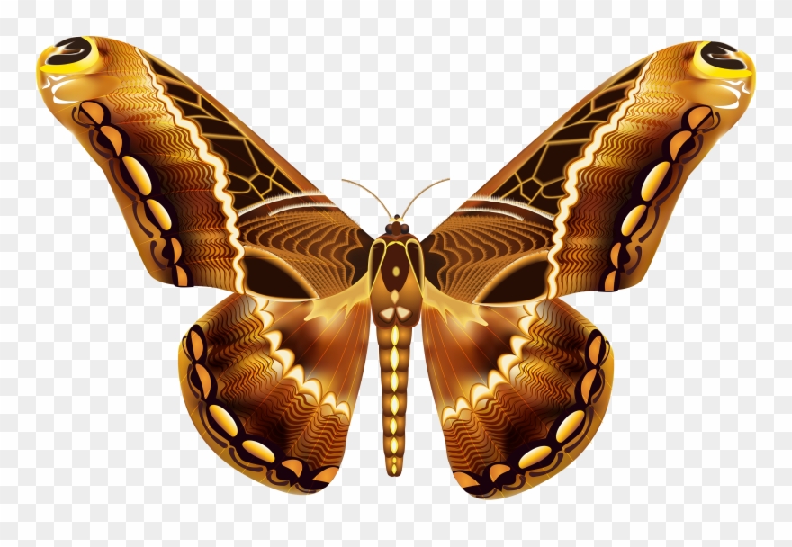Small Brown Butterfly Clipart - Png Download
